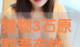 石原 在线观看,揭秘神秘石原的精彩瞬间